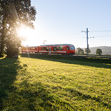 Triebwagen Be 4/4 651 der Chemins de fer du Jura – Sommerlandschaft